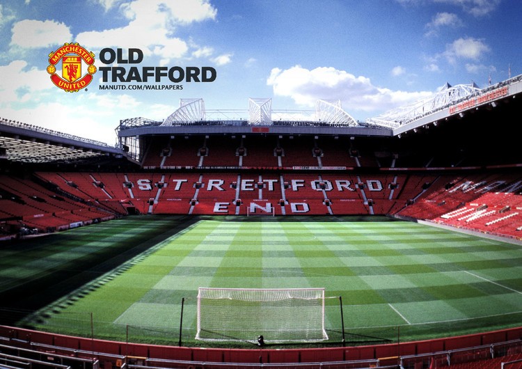 深深的情感 深深的情感