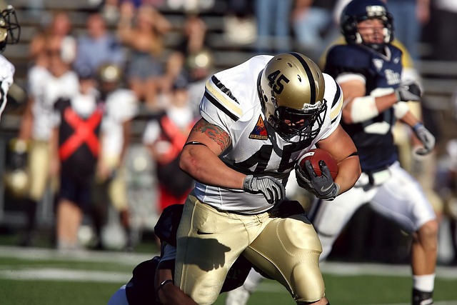 了步行者队 了步行者队